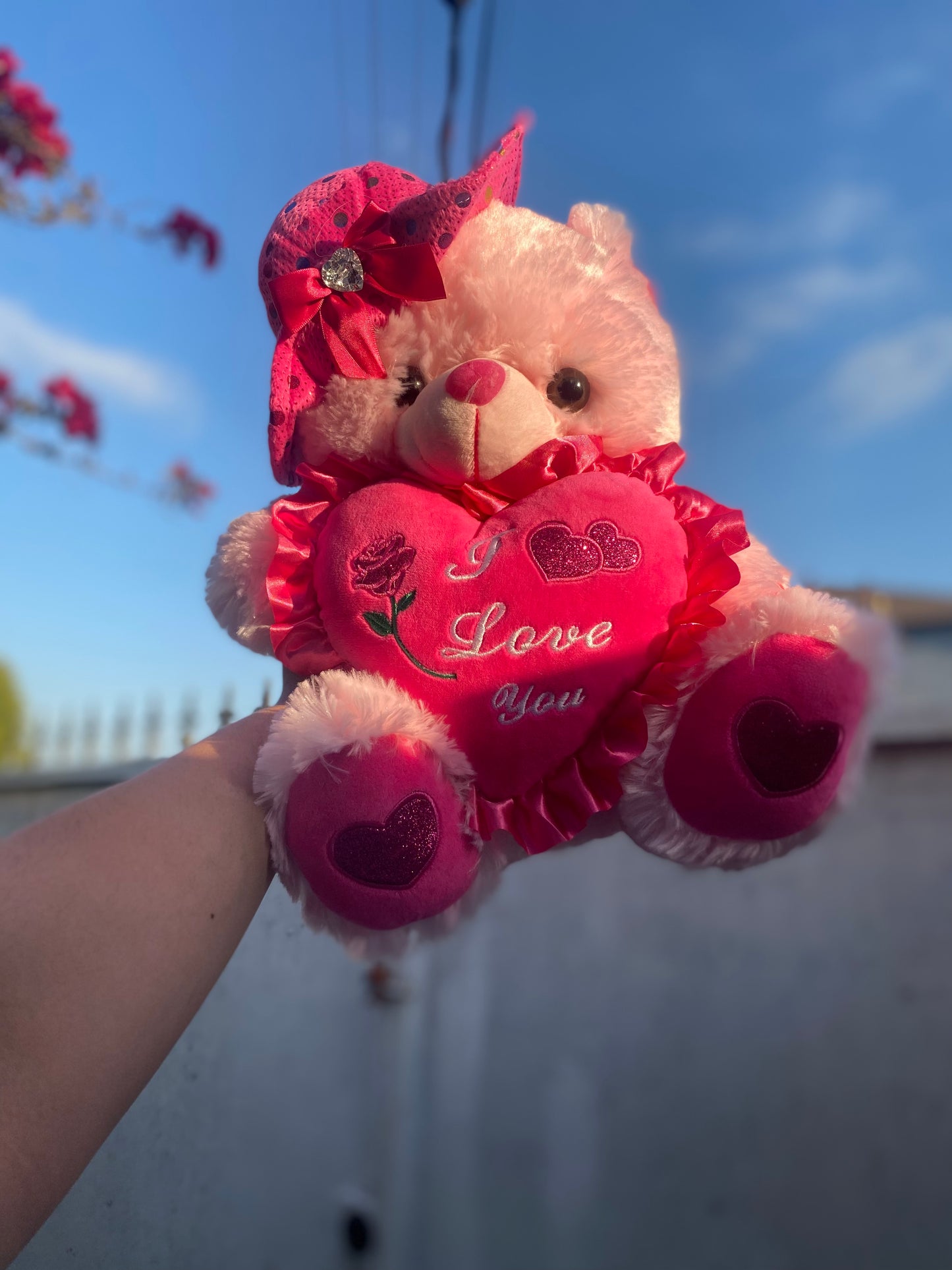 Miss Pretty Bear